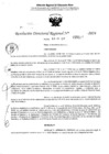 Vista preliminar de documento RDR 5027-2024
