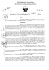 Vista preliminar de documento RDR 4257-2024