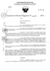Vista preliminar de documento RDR 4260-2024