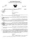 Vista preliminar de documento RDR 4261-2024