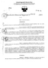 Vista preliminar de documento RDR 4262-2024