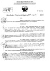 Vista preliminar de documento RDR 4270-2024