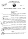 Vista preliminar de documento RDR 4271-2024