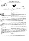 Vista preliminar de documento RDR 4272-2024