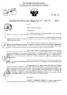 Vista preliminar de documento RDR 4275-2024