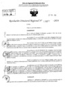 Vista preliminar de documento RDR 4277-2024