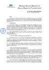 Vista preliminar de documento RGR DS N° 135-2024
