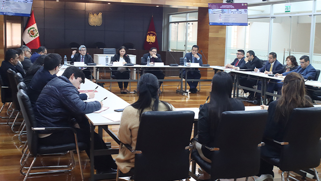Taller de investigación “El precedente constitucional: Presupuestos, vigencia y efectos” realizó el CEC del TC