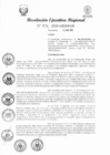 Vista preliminar de documento RER 236