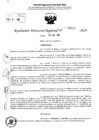 Vista preliminar de documento RDR 5132-2024