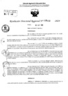Vista preliminar de documento RDR 5133-2024