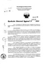 Vista preliminar de documento RDR 5135-2024