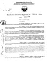 Vista preliminar de documento RDR 5138-2024