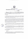 Vista preliminar de documento RD 460-2024-MINEM-DGM