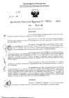 Vista preliminar de documento RDR 5141-2024