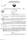 Vista preliminar de documento RDR 5150-2024