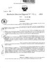 Vista preliminar de documento RDR 5151-2024