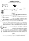 Vista preliminar de documento RDR 5155-2024