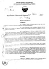 Vista preliminar de documento RDR 5157-2024