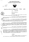 Vista preliminar de documento RDR 5159-2024