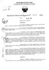 Vista preliminar de documento RDR 5160-2024