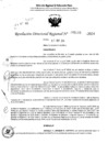 Vista preliminar de documento RDR 5163-2024