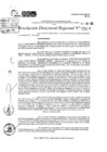 Vista preliminar de documento RDR 5424-2024