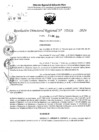 Vista preliminar de documento RDR 5431-2024