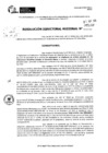 Vista preliminar de documento RDR 5168-2024