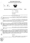Vista preliminar de documento RDR 5433-2024