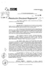 Vista preliminar de documento RDR 5170-2024