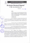 Vista preliminar de documento RDR 300-2024