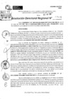 Vista preliminar de documento RDR 5176-2024