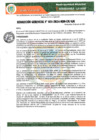 Vista preliminar de documento RESOLUCION GERENCIAL N 51-2024