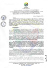 Vista preliminar de documento RCO_2942024