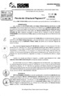 Vista preliminar de documento RDR 5190-2024