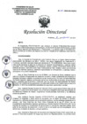 Vista preliminar de documento RD N°208 2024 DG HEJCU