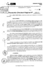 Vista preliminar de documento RDR 5197-2024
