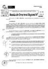 Vista preliminar de documento RDR 5199-2024