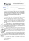 Vista preliminar de documento RGA-114-2024-MDJM