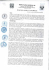 Vista preliminar de documento Resolucion271_2020