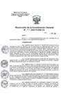 Vista preliminar de documento Resolución de la Coordinación General 142-2022-PCRIS-CG