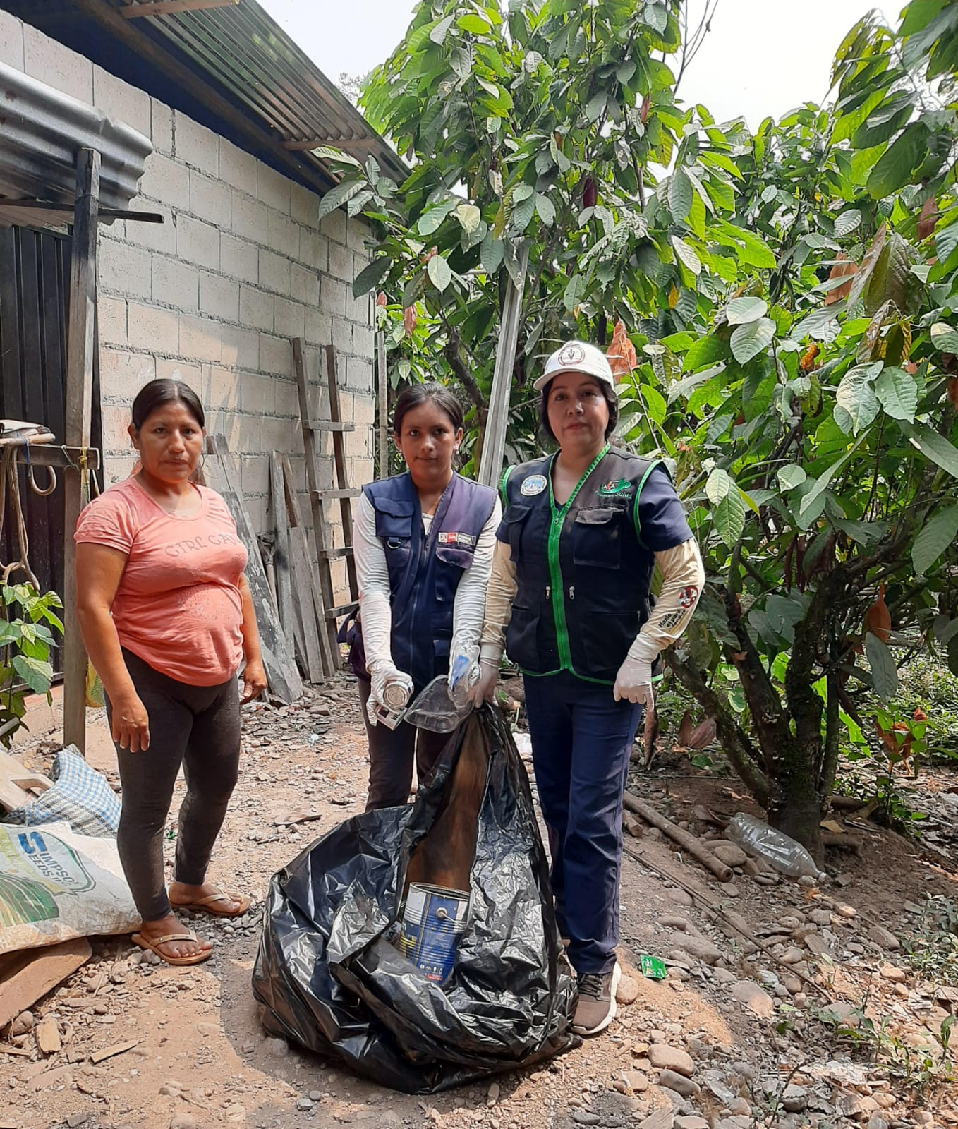 lucha contra el dengue
