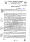 Vista preliminar de documento RESOLUCION DIRECTORAL N 451-2024-HSR-AND-DE
