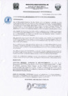 Vista preliminar de documento Resolucion300_2020