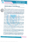Vista preliminar de documento RESOLUCION GERENCIAL N° 65-2024