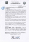 Vista preliminar de documento Resolucion302_2020