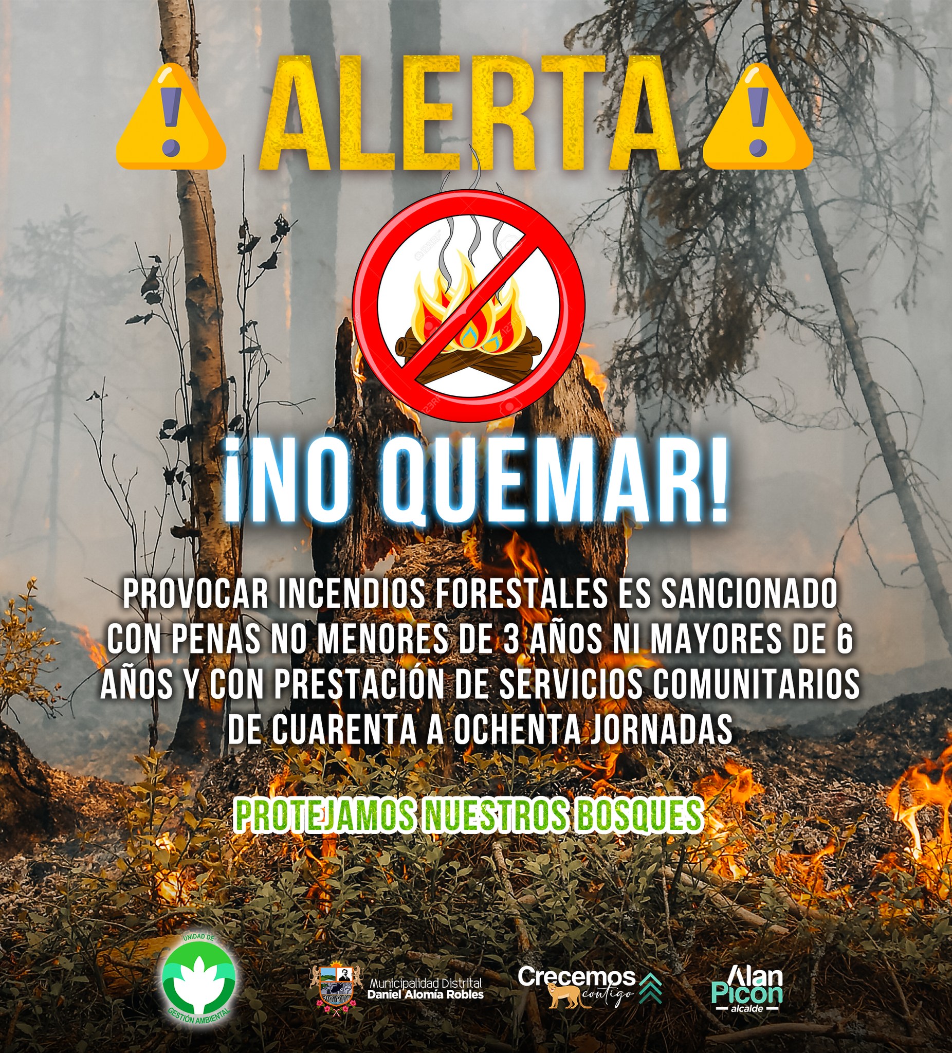 no quemar los bosques