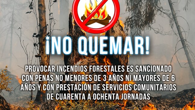 no quemar los bosques