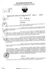 Vista preliminar de documento RDR 5447-2024